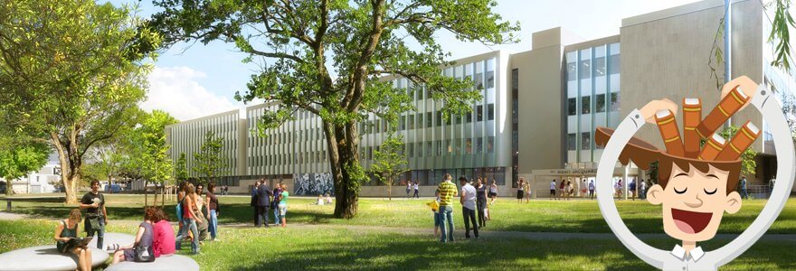 Université villeurbanne